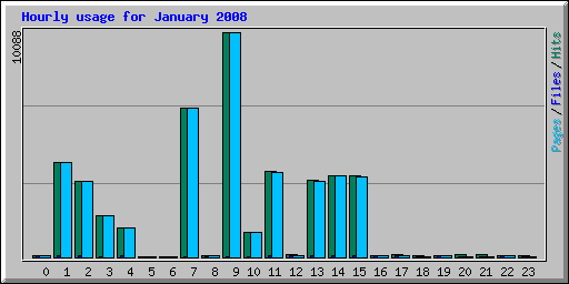 Hourly usage for January 2008